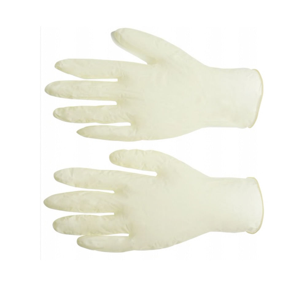 Latex Gloves x 100